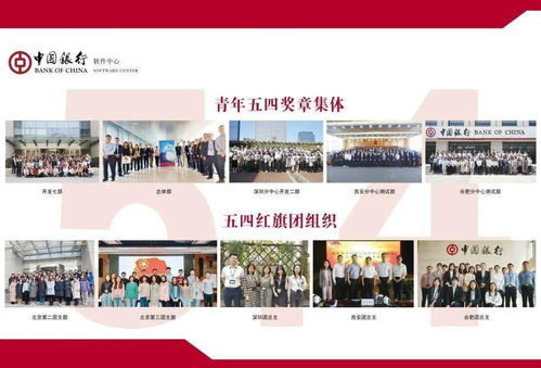 青春礼赞，文化绽放——软件中心举办“就这Young”五四青年节暨首届文化日庆祝活动